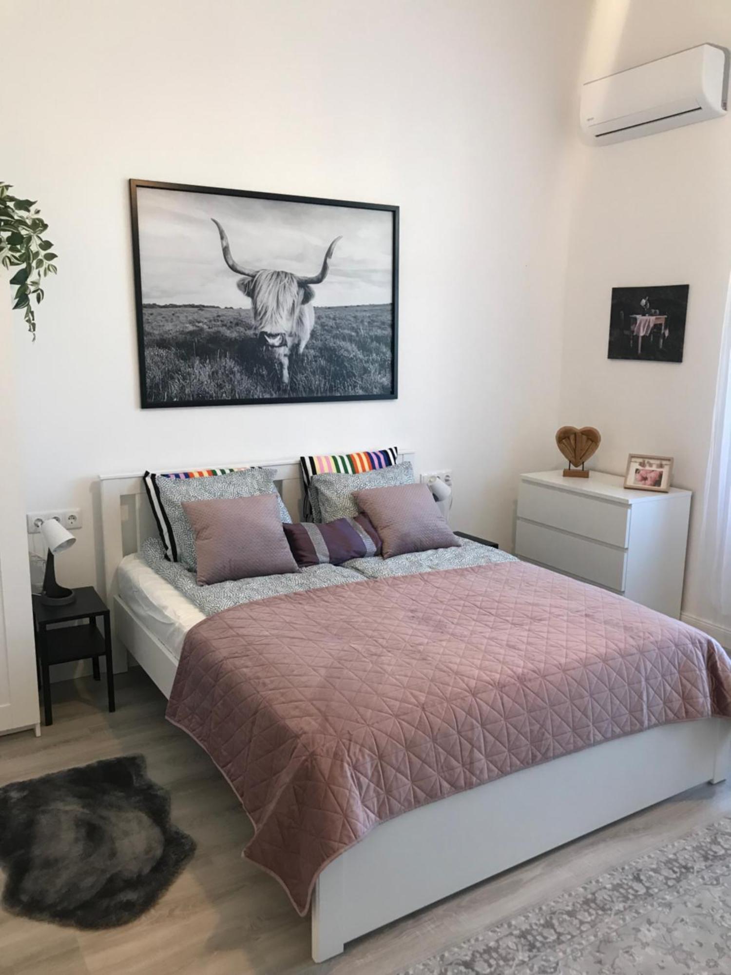 A Lovley Newly Decorated Fully Equipped Walking Distance To The Park Where Will Find The World Famous Szechenyi Thermal Bath Spa, Museums , And The Capital Circus , Ac, Smart Tv, High Speed Internet Apartmán