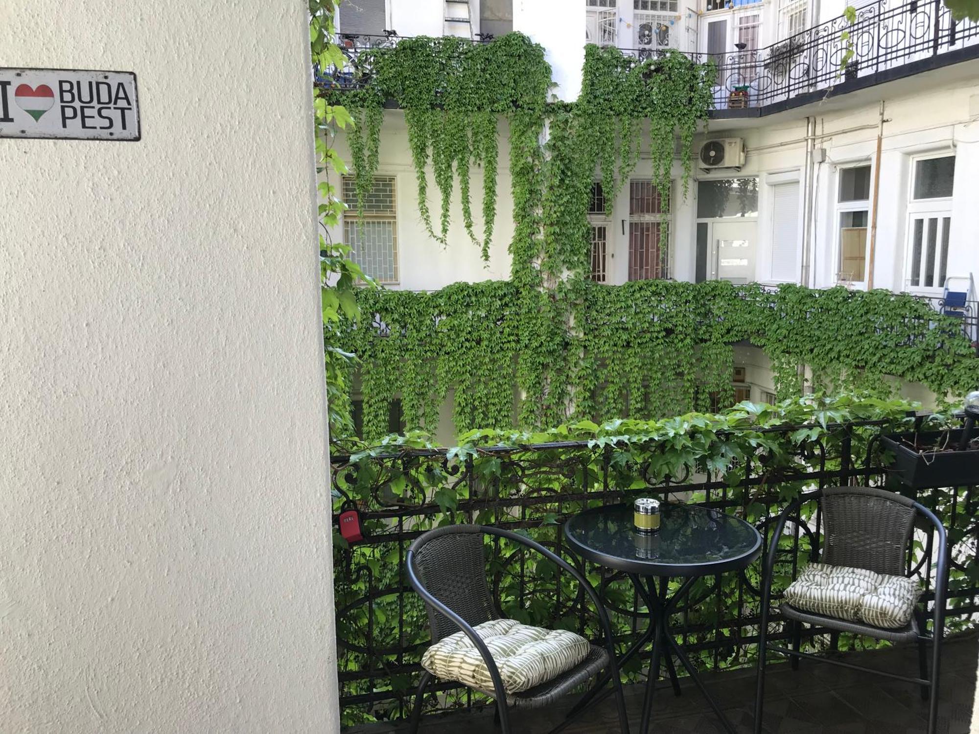 A Lovley Newly Decorated Fully Equipped Walking Distance To The Park Where Will Find The World Famous Szechenyi Thermal Bath Spa, Museums , And The Capital Circus , Ac, Smart Tv, High Speed Internet Budapešť