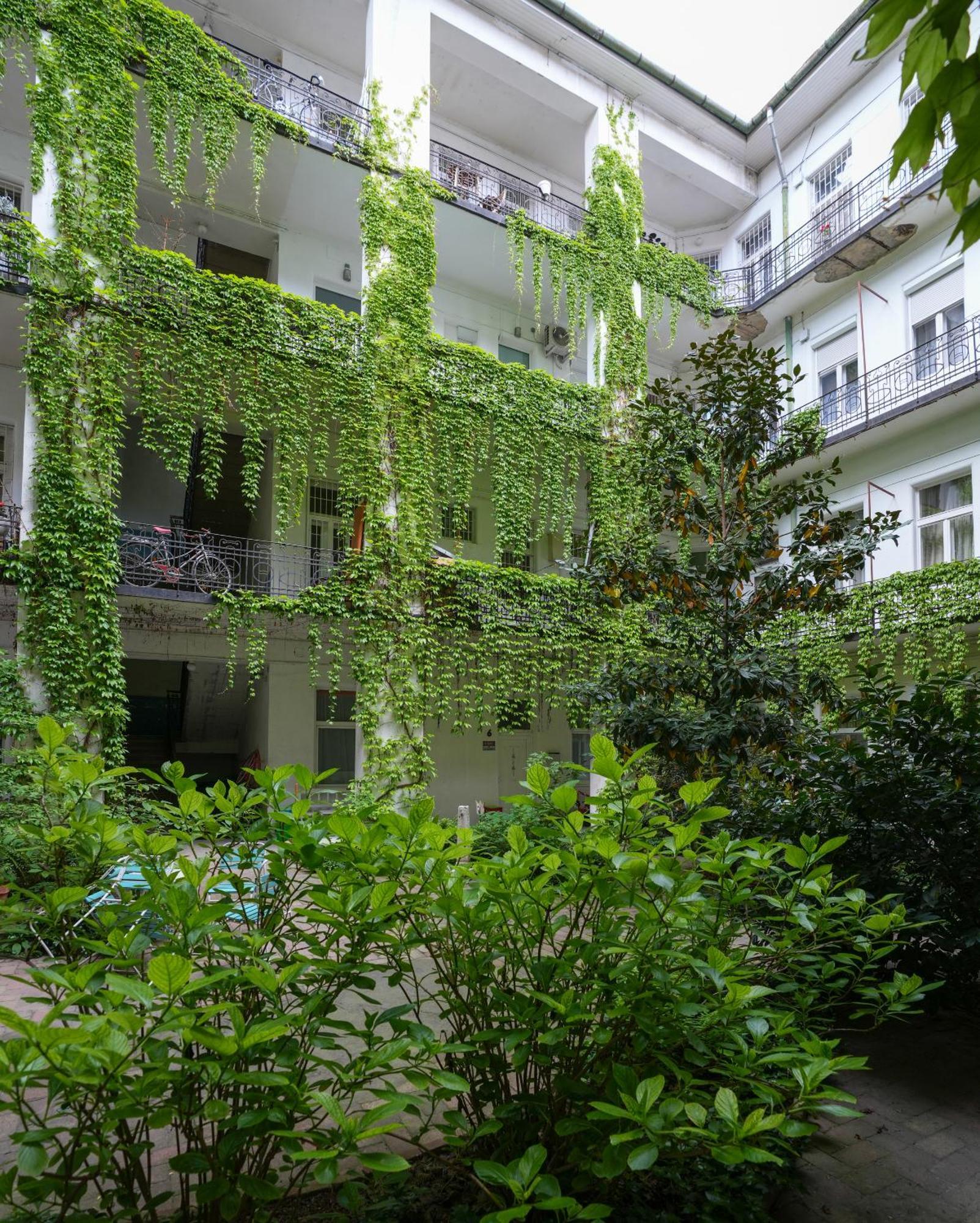 Apartmán A Lovley Newly Decorated Fully Equipped Walking Distance To The Park Where Will Find The World Famous Szechenyi Thermal Bath Spa, Museums , And The Capital Circus , Ac, Smart Tv, High Speed Internet Budapešť