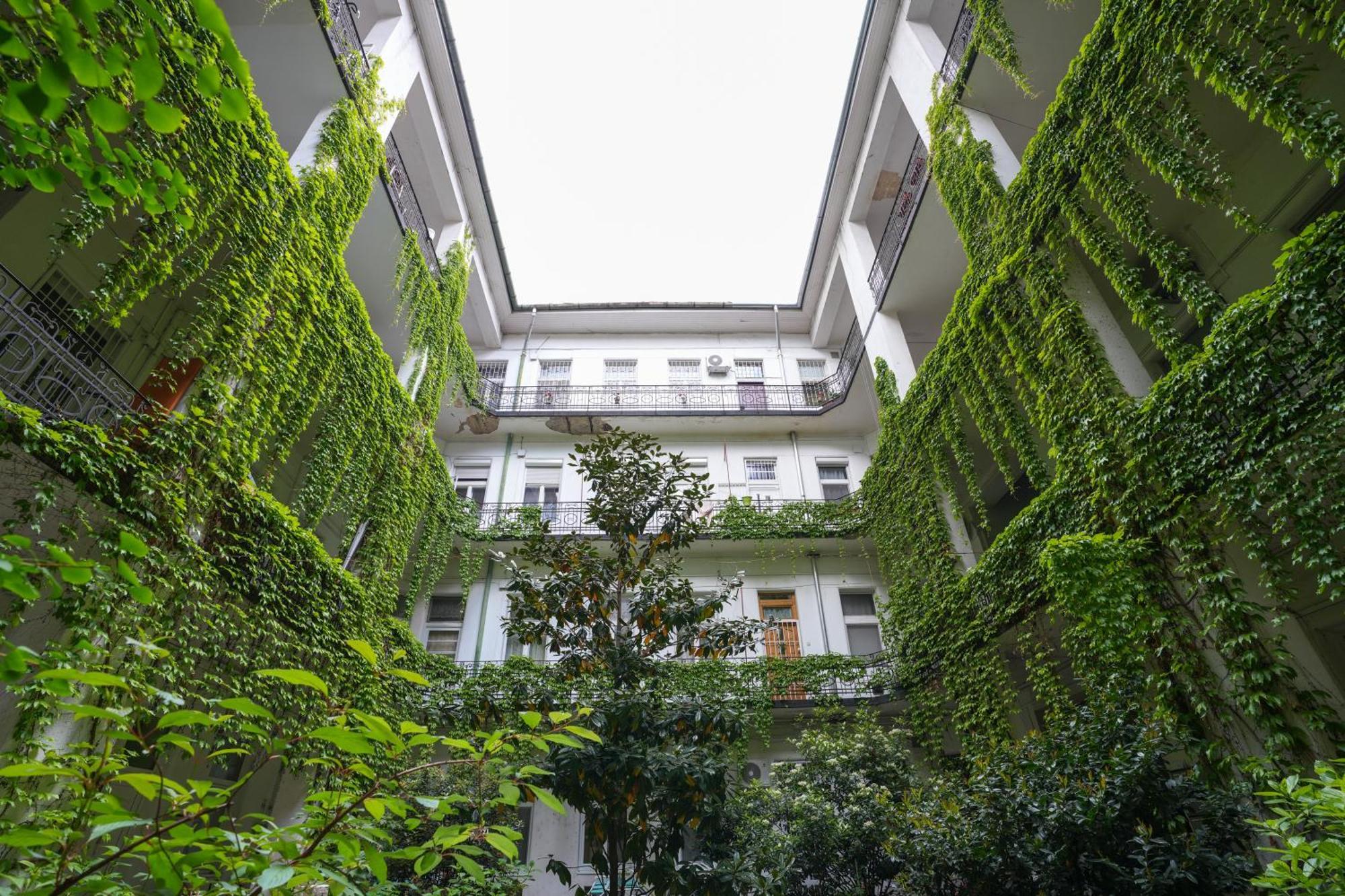 A Lovley Newly Decorated Fully Equipped Walking Distance To The Park Where Will Find The World Famous Szechenyi Thermal Bath Spa, Museums , And The Capital Circus , Ac, Smart Tv, High Speed Internet Budapešť