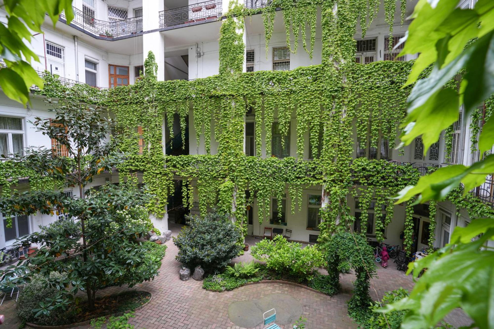 Apartmán A Lovley Newly Decorated Fully Equipped Walking Distance To The Park Where Will Find The World Famous Szechenyi Thermal Bath Spa, Museums , And The Capital Circus , Ac, Smart Tv, High Speed Internet *