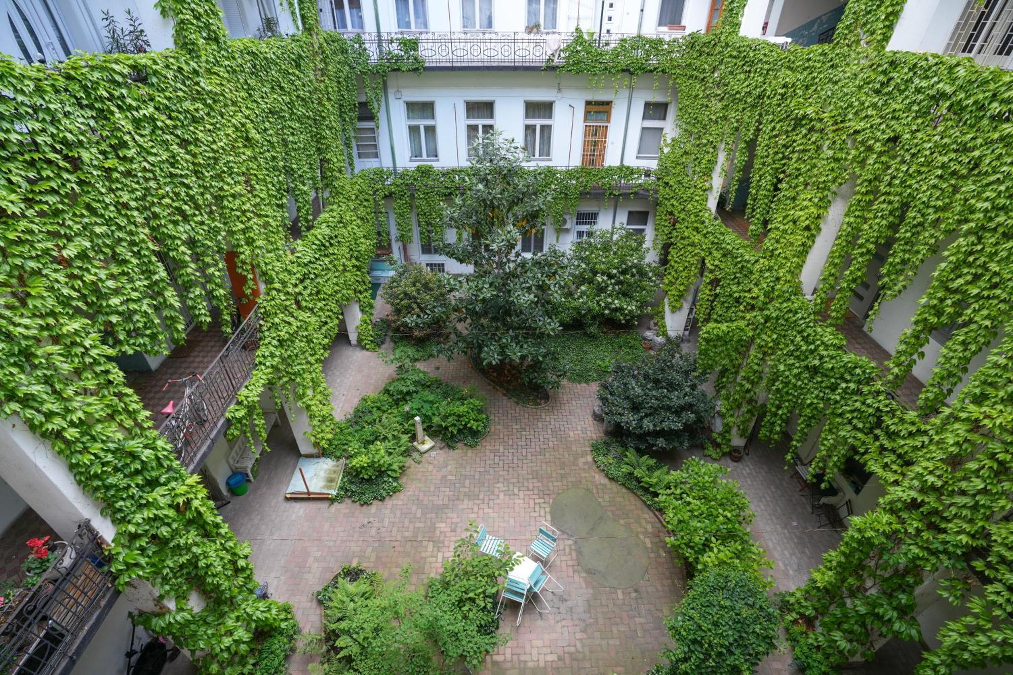 A Lovley Newly Decorated Fully Equipped Walking Distance To The Park Where Will Find The World Famous Szechenyi Thermal Bath Spa, Museums , And The Capital Circus , Ac, Smart Tv, High Speed Internet Apartmán