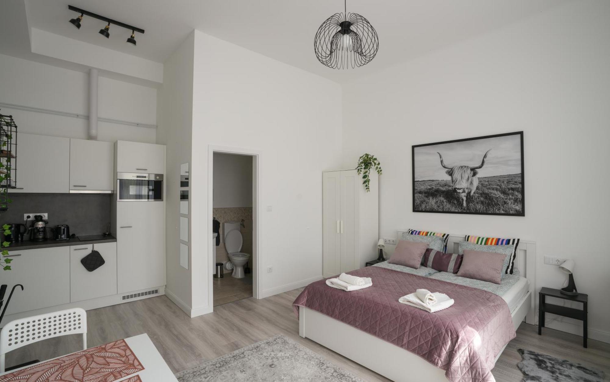 A Lovley Newly Decorated Fully Equipped Walking Distance To The Park Where Will Find The World Famous Szechenyi Thermal Bath Spa, Museums , And The Capital Circus , Ac, Smart Tv, High Speed Internet Apartmán