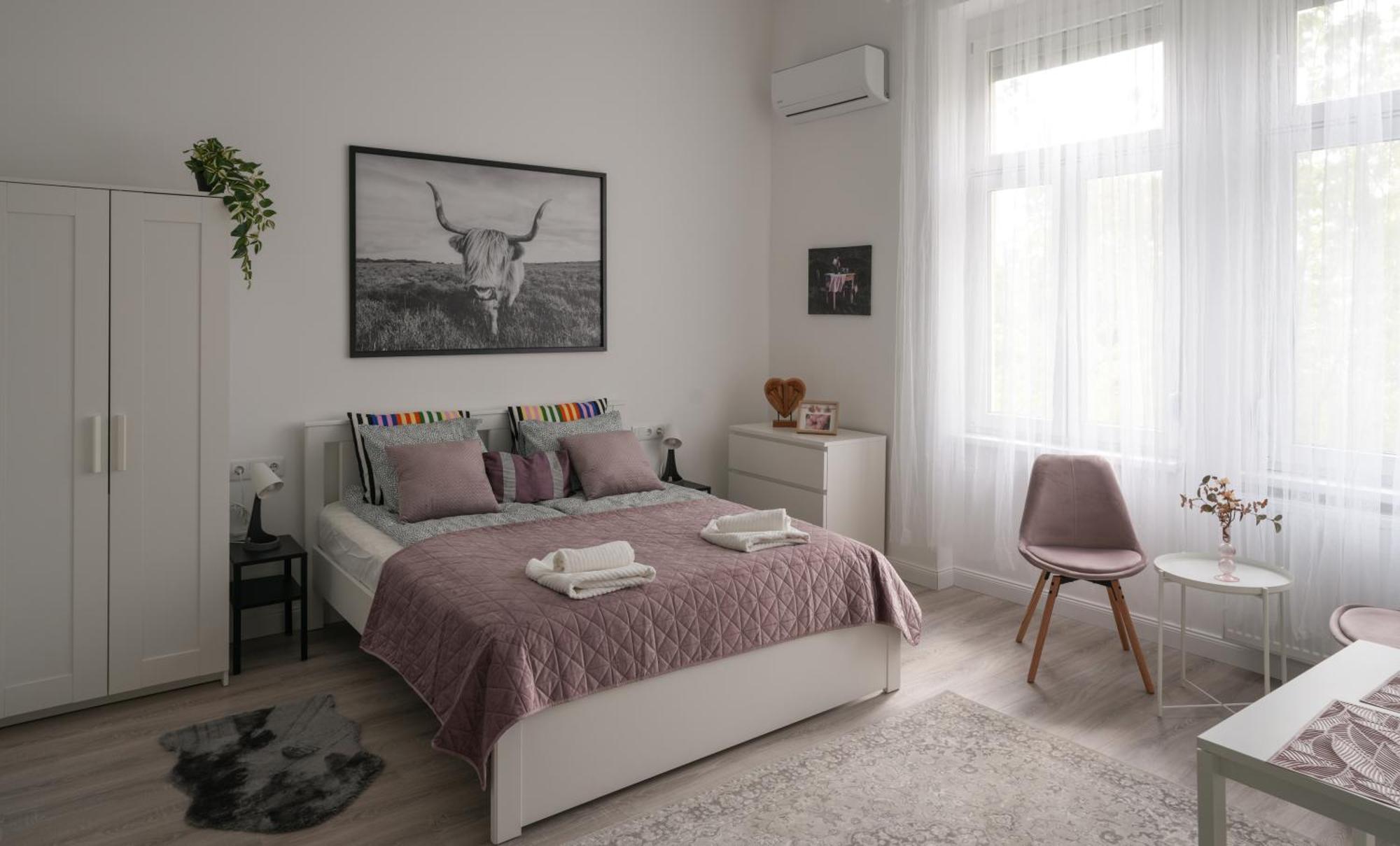 Apartmán A Lovley Newly Decorated Fully Equipped Walking Distance To The Park Where Will Find The World Famous Szechenyi Thermal Bath Spa, Museums , And The Capital Circus , Ac, Smart Tv, High Speed Internet