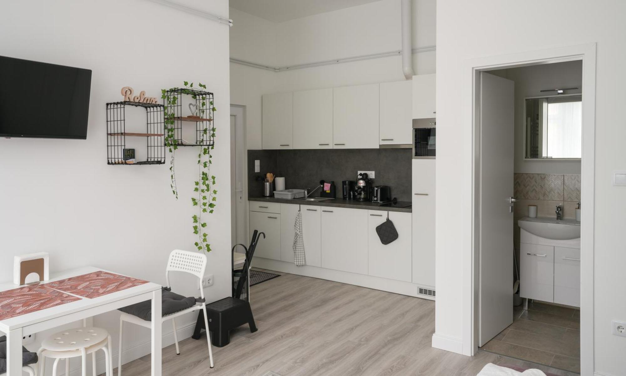 Apartmán A Lovley Newly Decorated Fully Equipped Walking Distance To The Park Where Will Find The World Famous Szechenyi Thermal Bath Spa, Museums , And The Capital Circus , Ac, Smart Tv, High Speed Internet Budapešť