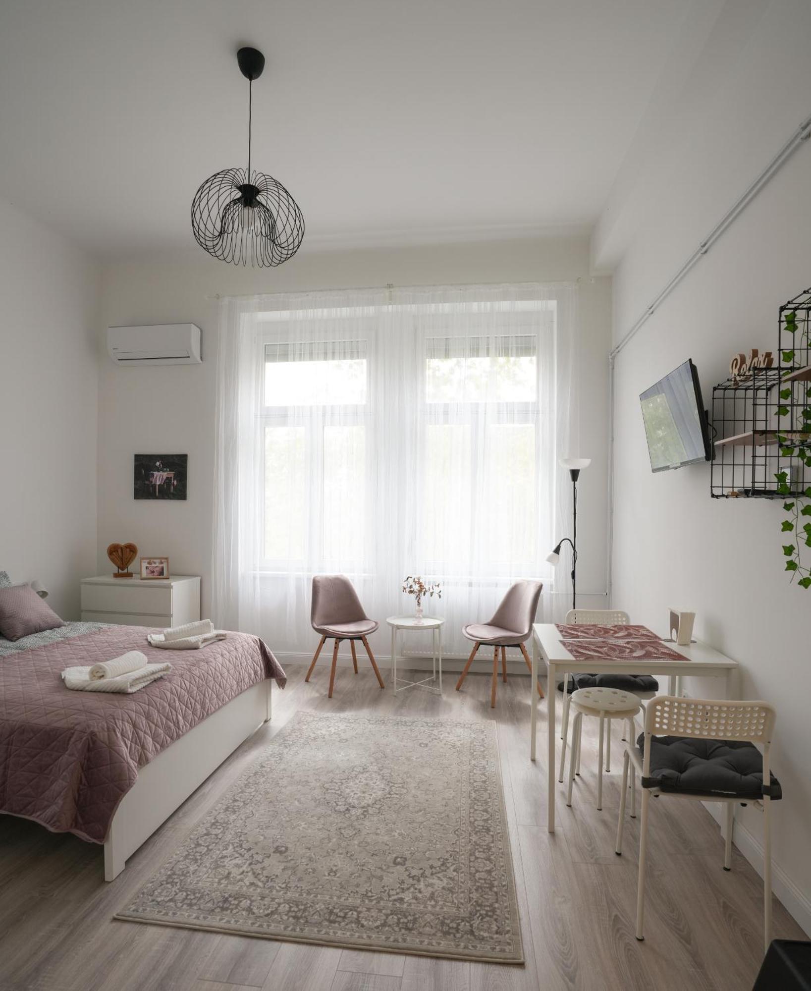 A Lovley Newly Decorated Fully Equipped Walking Distance To The Park Where Will Find The World Famous Szechenyi Thermal Bath Spa, Museums , And The Capital Circus , Ac, Smart Tv, High Speed Internet Budapešť