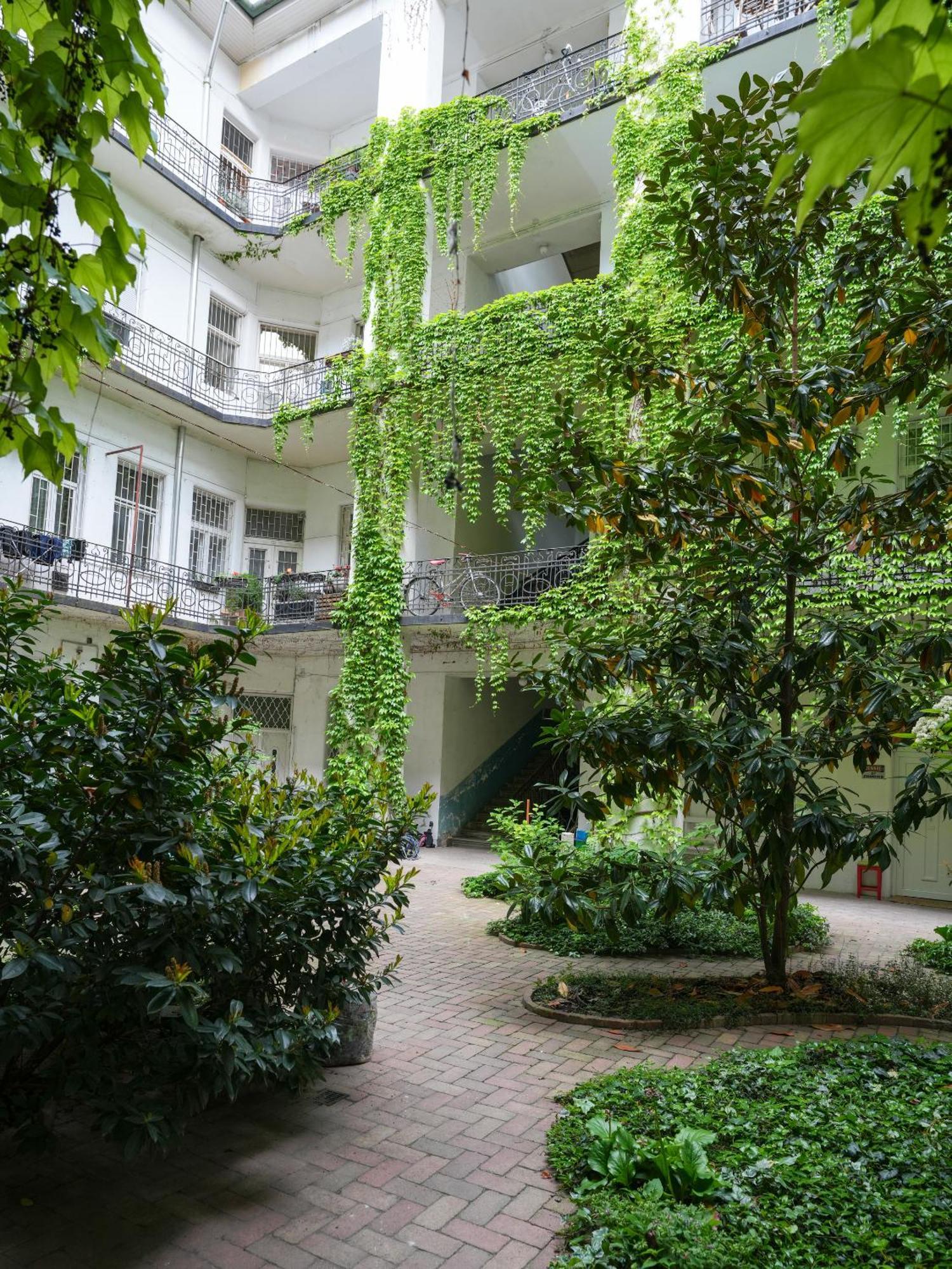 A Lovley Newly Decorated Fully Equipped Walking Distance To The Park Where Will Find The World Famous Szechenyi Thermal Bath Spa, Museums , And The Capital Circus , Ac, Smart Tv, High Speed Internet Апартаменты *