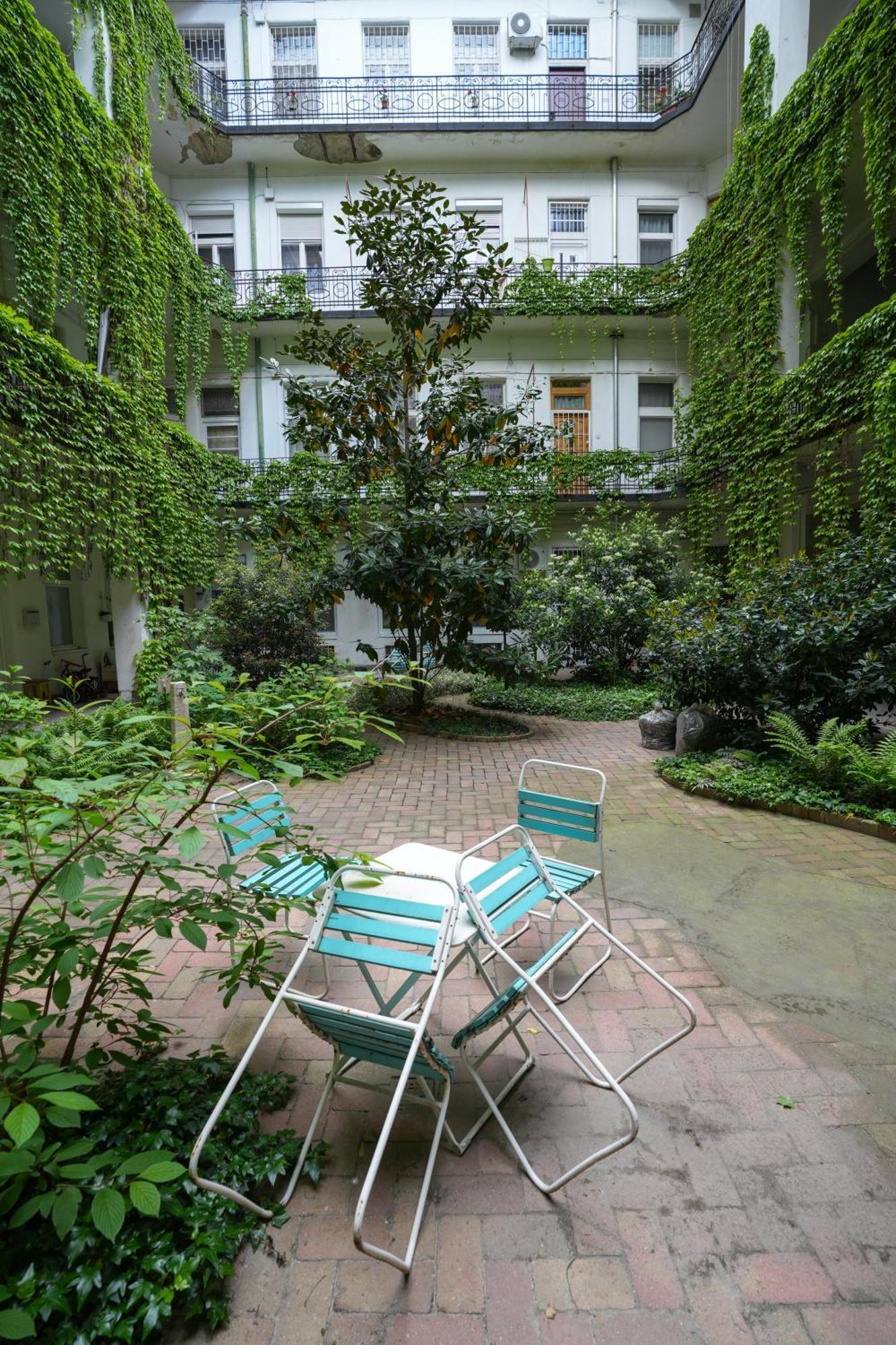 A Lovley Newly Decorated Fully Equipped Walking Distance To The Park Where Will Find The World Famous Szechenyi Thermal Bath Spa, Museums , And The Capital Circus , Ac, Smart Tv, High Speed Internet * Будапешт