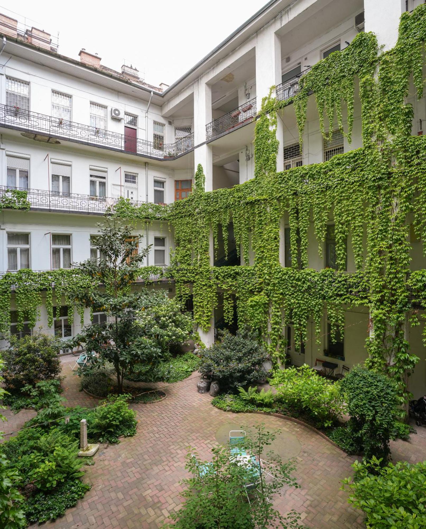 A Lovley Newly Decorated Fully Equipped Walking Distance To The Park Where Will Find The World Famous Szechenyi Thermal Bath Spa, Museums , And The Capital Circus , Ac, Smart Tv, High Speed Internet Апартаменты *