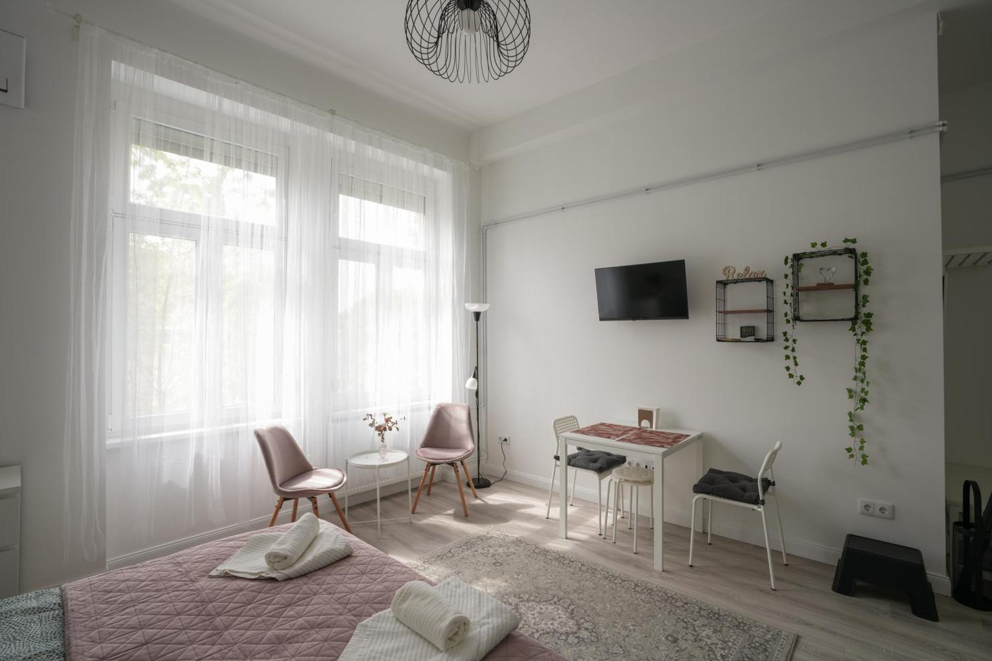 A Lovley Newly Decorated Fully Equipped Walking Distance To The Park Where Will Find The World Famous Szechenyi Thermal Bath Spa, Museums , And The Capital Circus , Ac, Smart Tv, High Speed Internet Апартаменты Будапешт